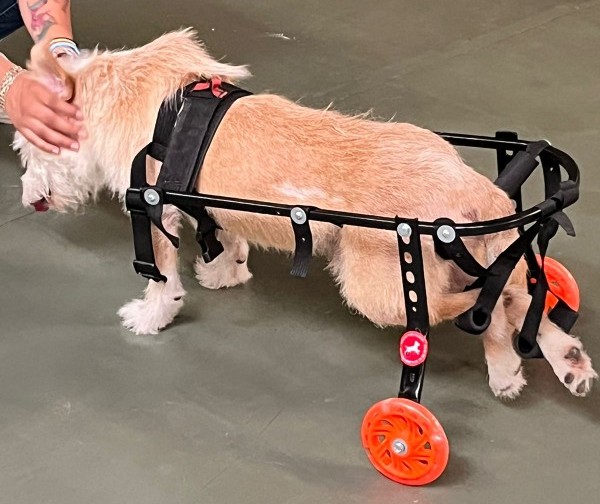 Silla deportiva